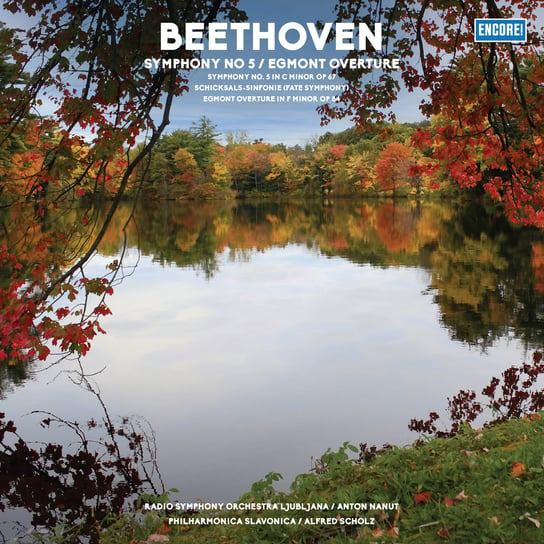 Beethoven: Symphony No 5, płyta winylowa Various Artists