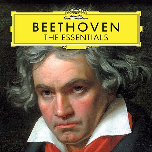 Beethoven: Violin Concerto in D Major, Op. 61: 3. Rondo. Allegro - Cadenza: Fritz Kreisler Shlomo Mintz, Philharmonia Orchestra, Giuseppe Sinopoli