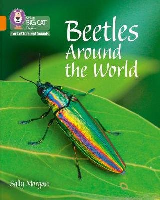 Beetles Around the World: Band 06/Orange Morgan Sally