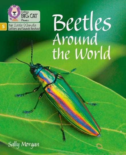 Beetles Around the World: Phase 5 Morgan Sally