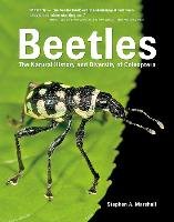 Beetles Marshall Stephen