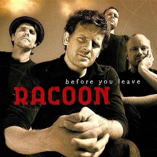 Before You Leave Racoon