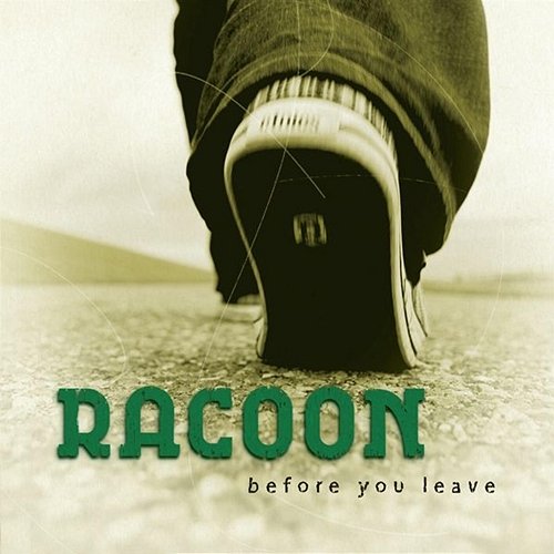 Before You Leave Racoon