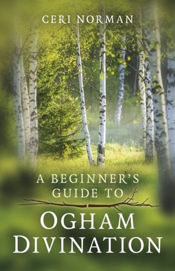 Beginner's Guide to Ogham Divination, A John Hunt Publishing