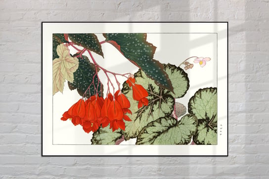 Begonia Crackling Rosie Ukośnica Plakat Japonia Grafika Vintage 21X30 Cm (A4) / Dodoprint Dodoprint