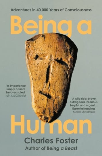 Being a Human: Adventures in 40,000 Years of Consciousness Foster Charles
