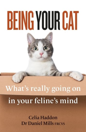 Being Your Cat: What's really going on in your feline's mind Haddon Celia