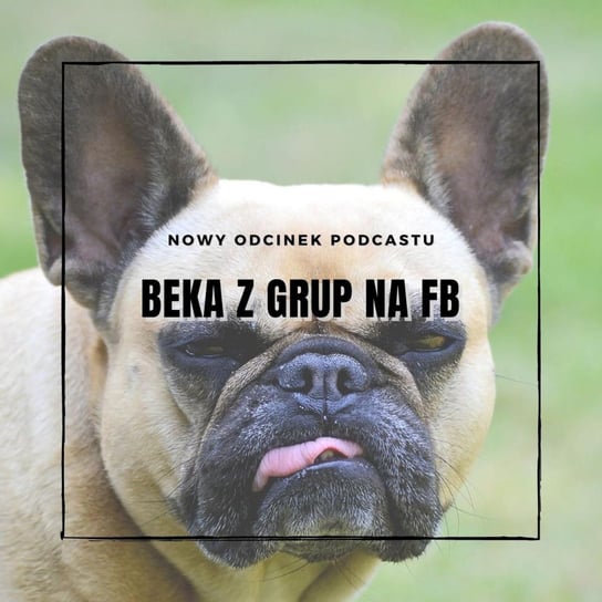 Beka z grup na FB - Pies do pary - podcast - audiobook Grzesiek Daria