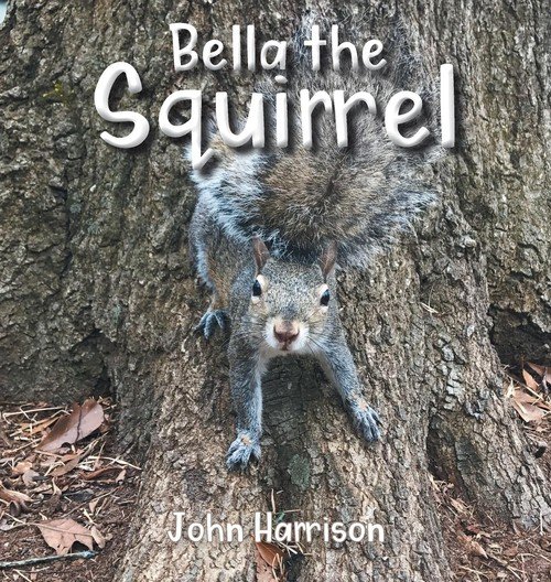 Bella the Squirrel Harrison John