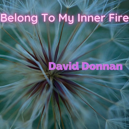 Belong To My Inner Fire David Donnan