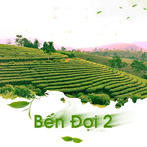Bến Đợi 2 Cẩm Anh