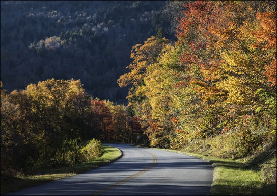 Bend in the roadway along the southern reaches of the Blue Ridge Parkway, near Linville, North Carolina, Carol Highsmith - plakat 91,5x61 cm Galeria Plakatu