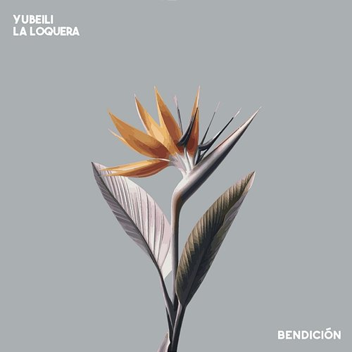 Bendición Yubeili, La Loquera