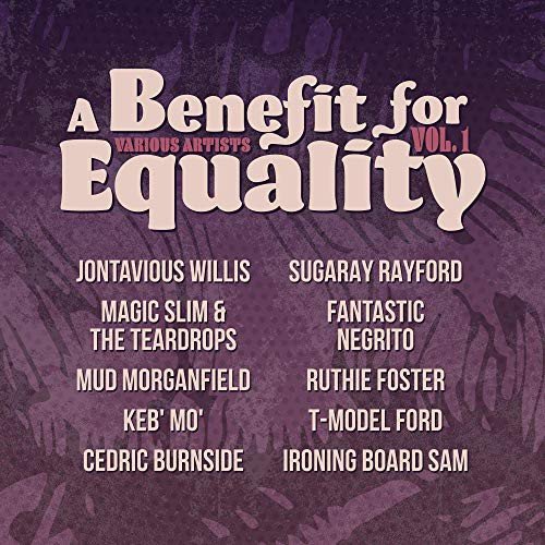 Benefit For Equality Volume  1 Various Artists