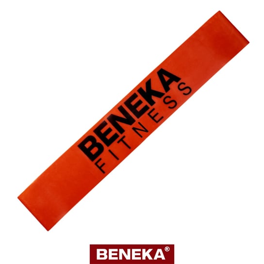 Beneka Mini Band Level 4 Inna marka