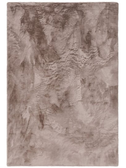 Benuta, Dywan krótkowłosy Dave Styl Klasyczny, Beżowy, rozmiar 80x150 cm Flhf