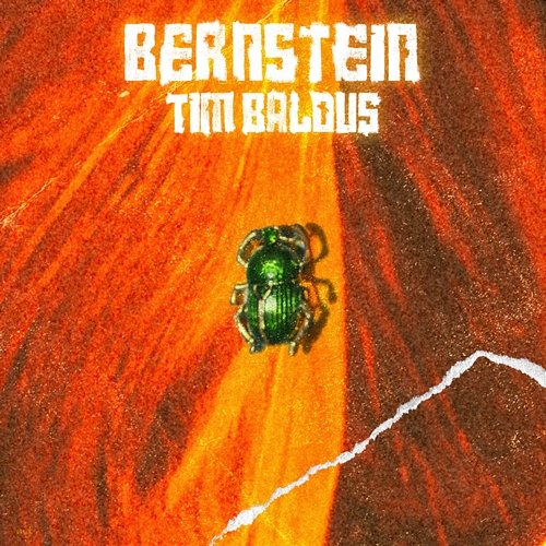 Bernstein Tim Baldus