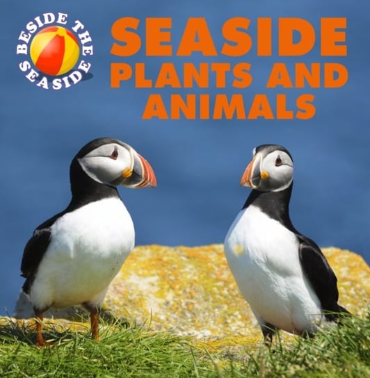 Beside the Seaside: Seaside Plants and Animals Clare Hibbert