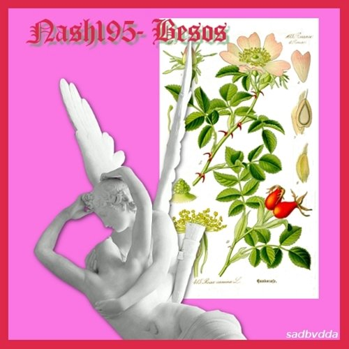 Besos Nash195