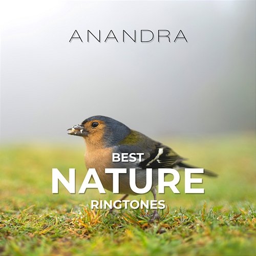 Best Nature Ringtones: Singing Birds, Ocean Waves, Rainforest, Thunderstorm Anandra