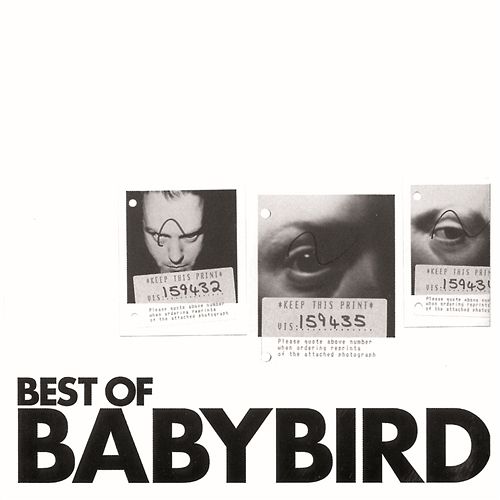 The F-Word Babybird