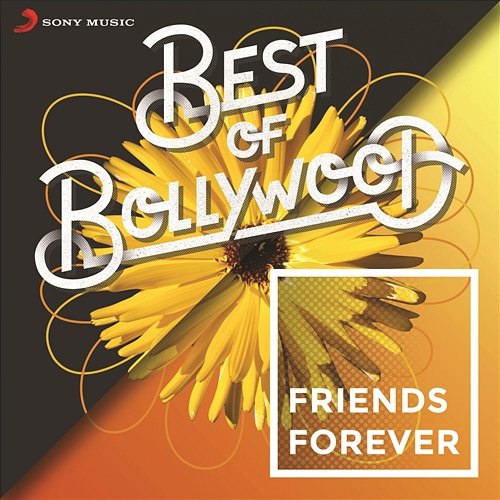 Best of Bollywood: Friends Forever Various Artists