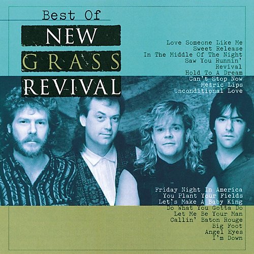 Best Of New Grass Revival The New Grass Revival