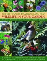Best Plants to Attract and Keep Wildlife in the Garden Lavelle Christine