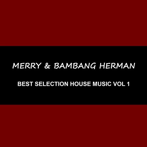 Best Selection House Music, Vol. 1 Merry