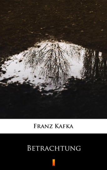 Betrachtung Kafka Franz