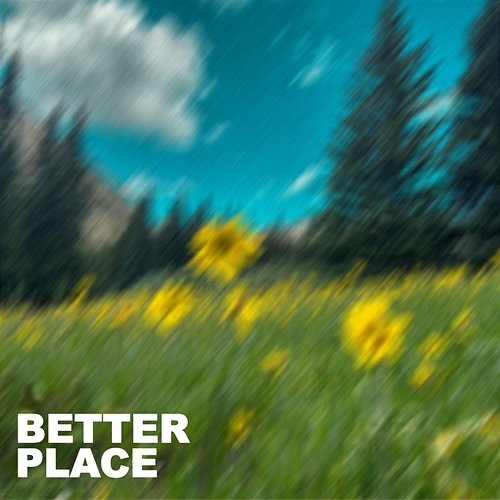Better Place AMEN Music, Girl Scouts Of Northeast Texas