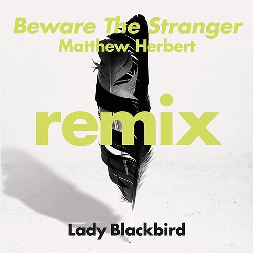 Beware The Stranger Lady Blackbird