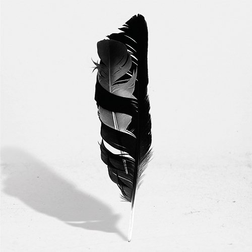 Beware The Stranger Lady Blackbird