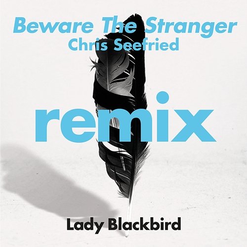 Beware The Stranger Lady Blackbird feat. Trombone Shorty