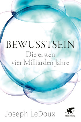 Bewusstsein Klett-Cotta