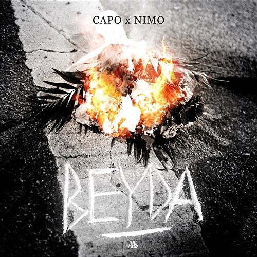BEYDA Nimo, Capo