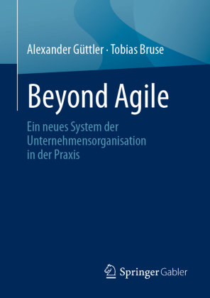 Beyond Agile Springer, Berlin