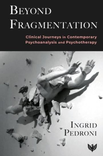 Beyond Fragmentation: Clinical Journeys in Contemporary Psychoanalysis and Psychotherapy Phoenix Publishing House