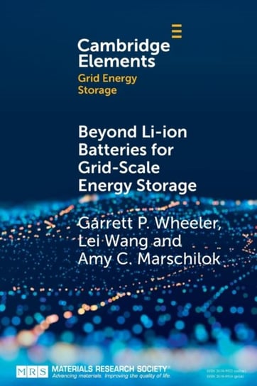 Beyond Li-ion Batteries for Grid-Scale Energy Storage Opracowanie zbiorowe