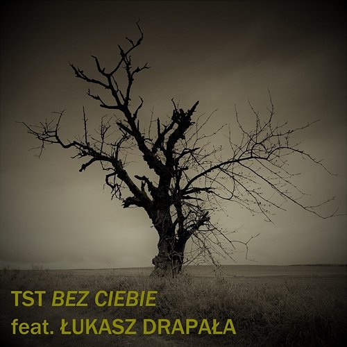 Bez Ciebie TST feat. Łukasz Drapała