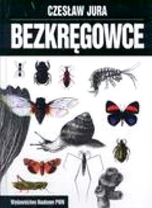 Bezkręgowce Jura Czesław