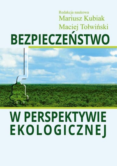 Bezpieczeństwo w perspektywie ekologicznej Kubiak Mariusz, Tołwiński Maciej