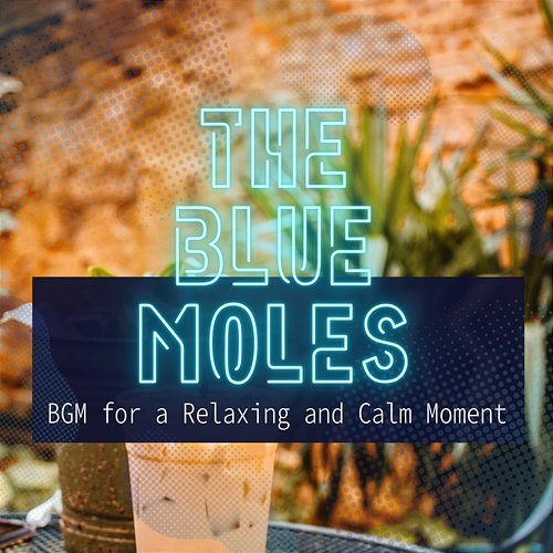 Bgm for a Relaxing and Calm Moment The Blue Moles