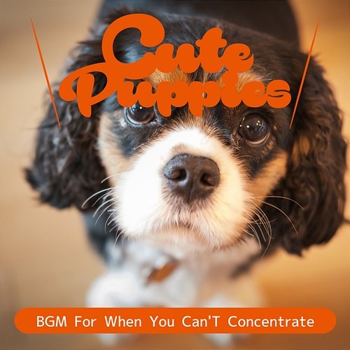 Bgm for When You Ca N't Concentrate Cute Puppies