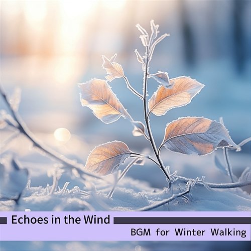 Bgm for Winter Walking Echoes in the Wind