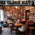 Bgm Perfect for Reading and Tea Breaks My Black Cat