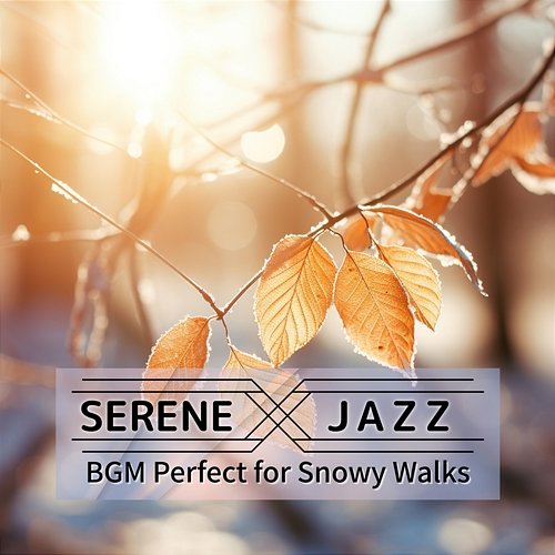 Bgm Perfect for Snowy Walks Serene Jazz