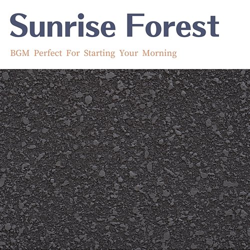 Bgm Perfect for Starting Your Morning Sunrise Forest