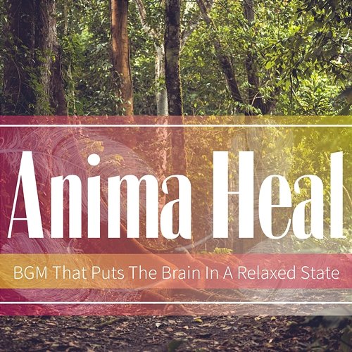 Bgm That Puts the Brain in a Relaxed State Anima Heal