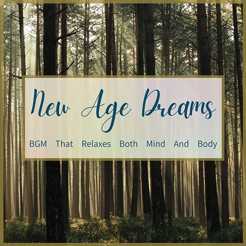 Bgm That Relaxes Both Mind and Body New Age Dreams